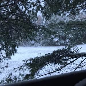 Meet your Posher, Candice